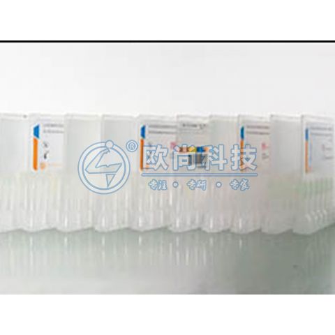  （視頻）全自動高精度雙側面貼標機AS-S02